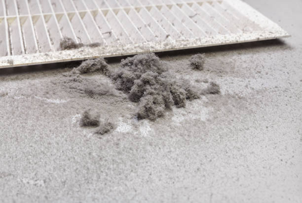 Best Air Duct Cleaning Company Near Me  in South Greeley, WY