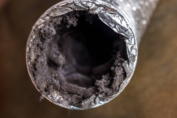 Best Air Vent Cleaning Services  in South Greeley, WY