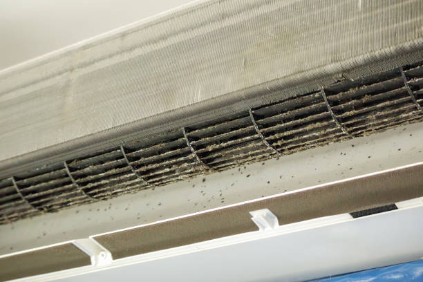 Best HVAC Maintenance and Cleaning  in South Greeley, WY